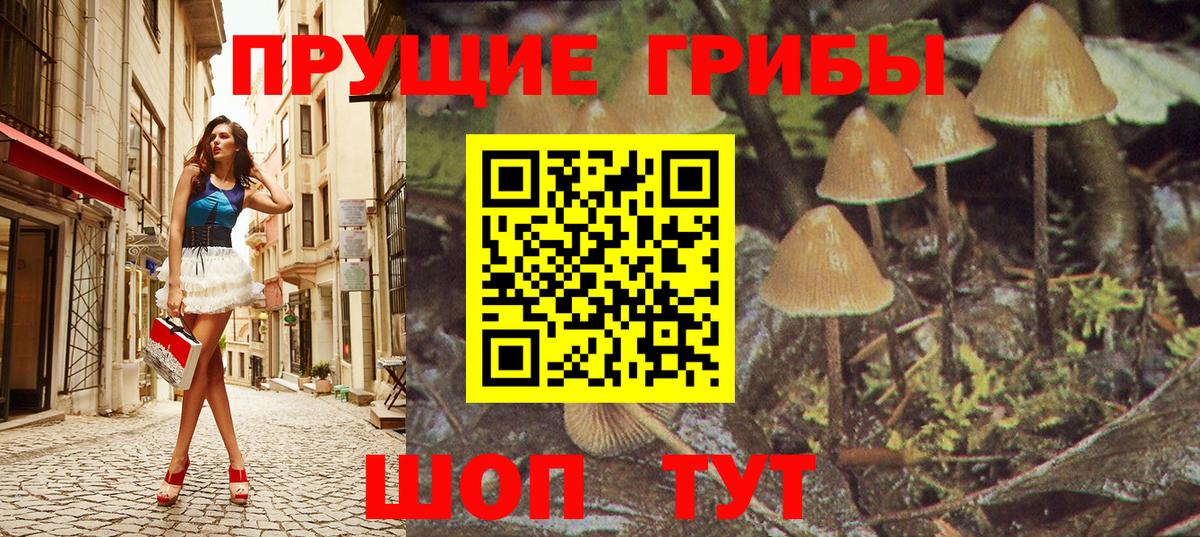 Галлюциногенные грибы Cubensis Тара
