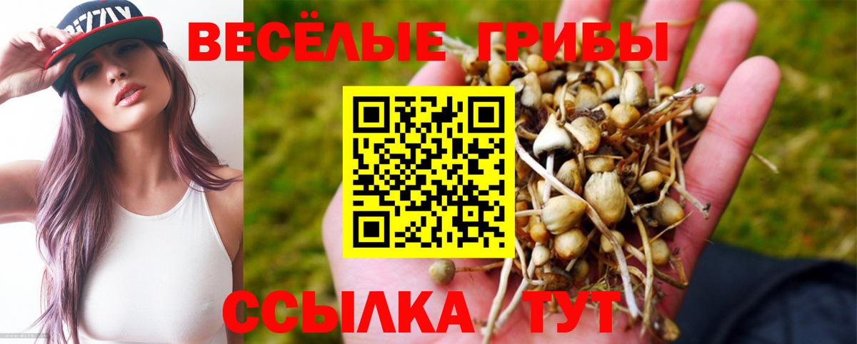 Мефедрон   ГАШ  Кокаин  Экстази  Тара  Вход с VPN 