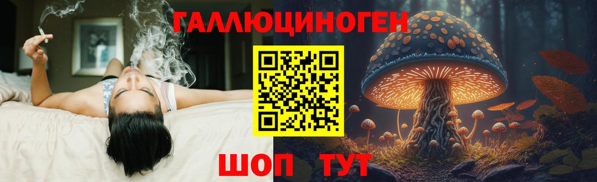 Псилоцибиновые грибы прущие грибы  Вход с VPN  Тара 